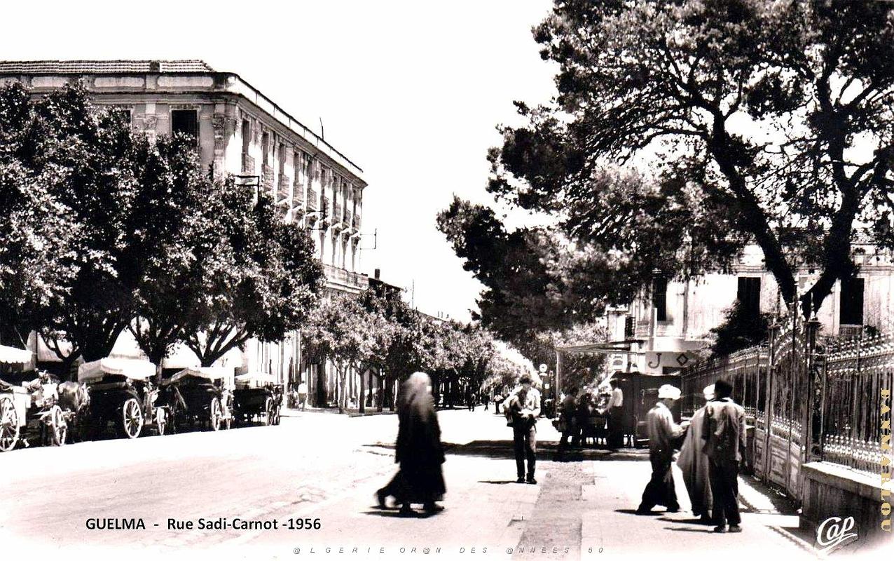 Guelma - Rue Sadi-Carnot - 1956.jpg